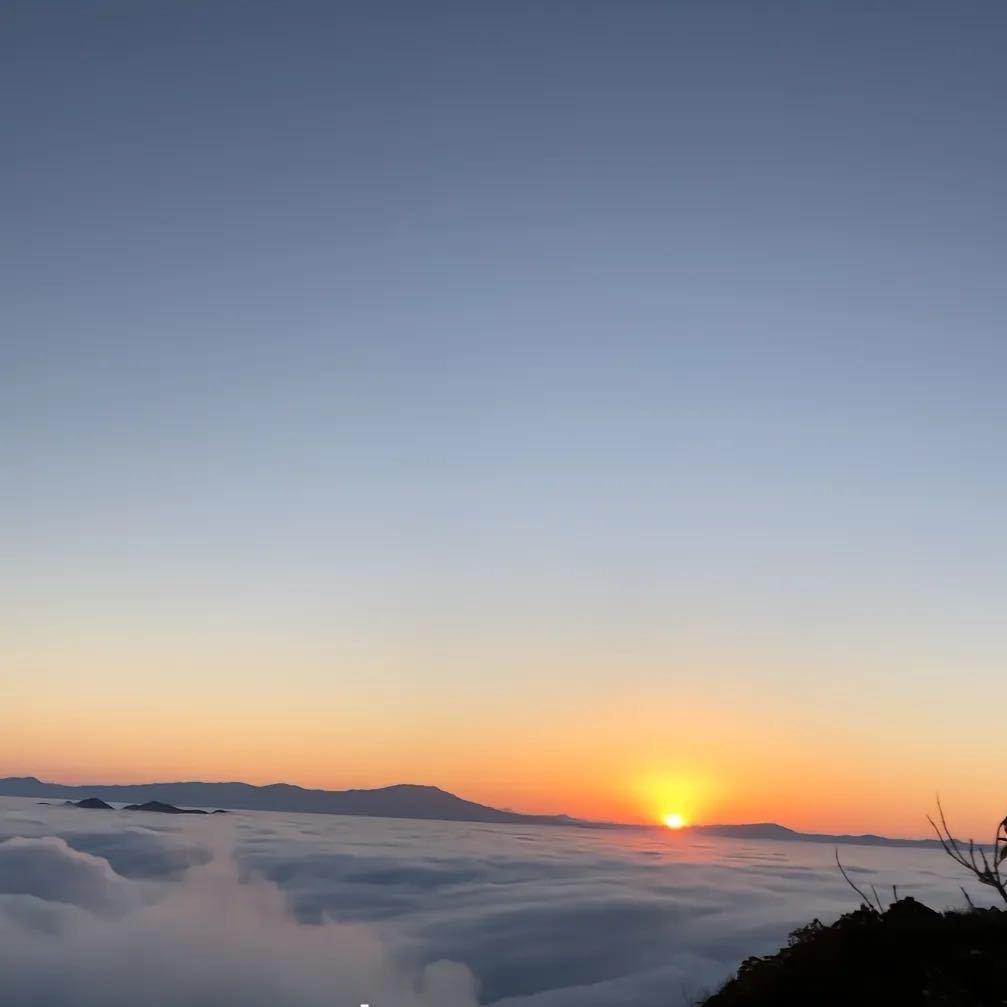 山东升学规划高老师