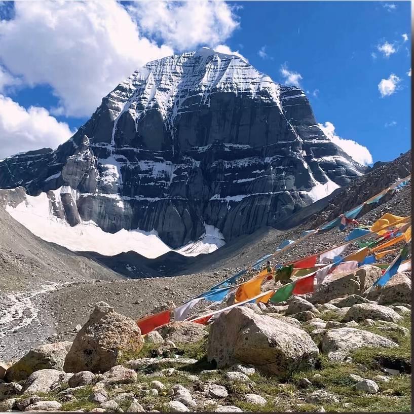 只有一颗爱她的❤