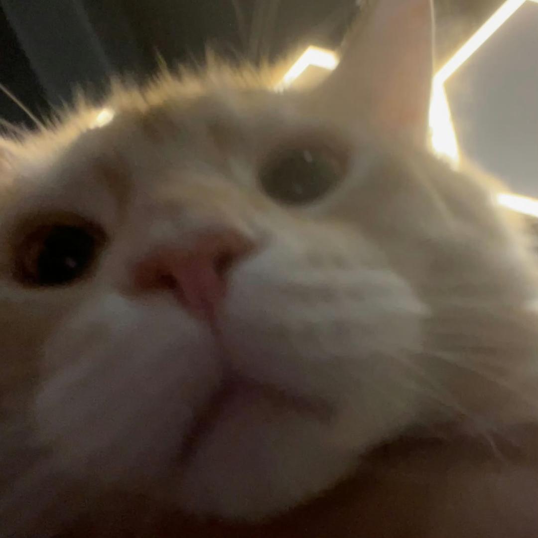 KEATRICEO