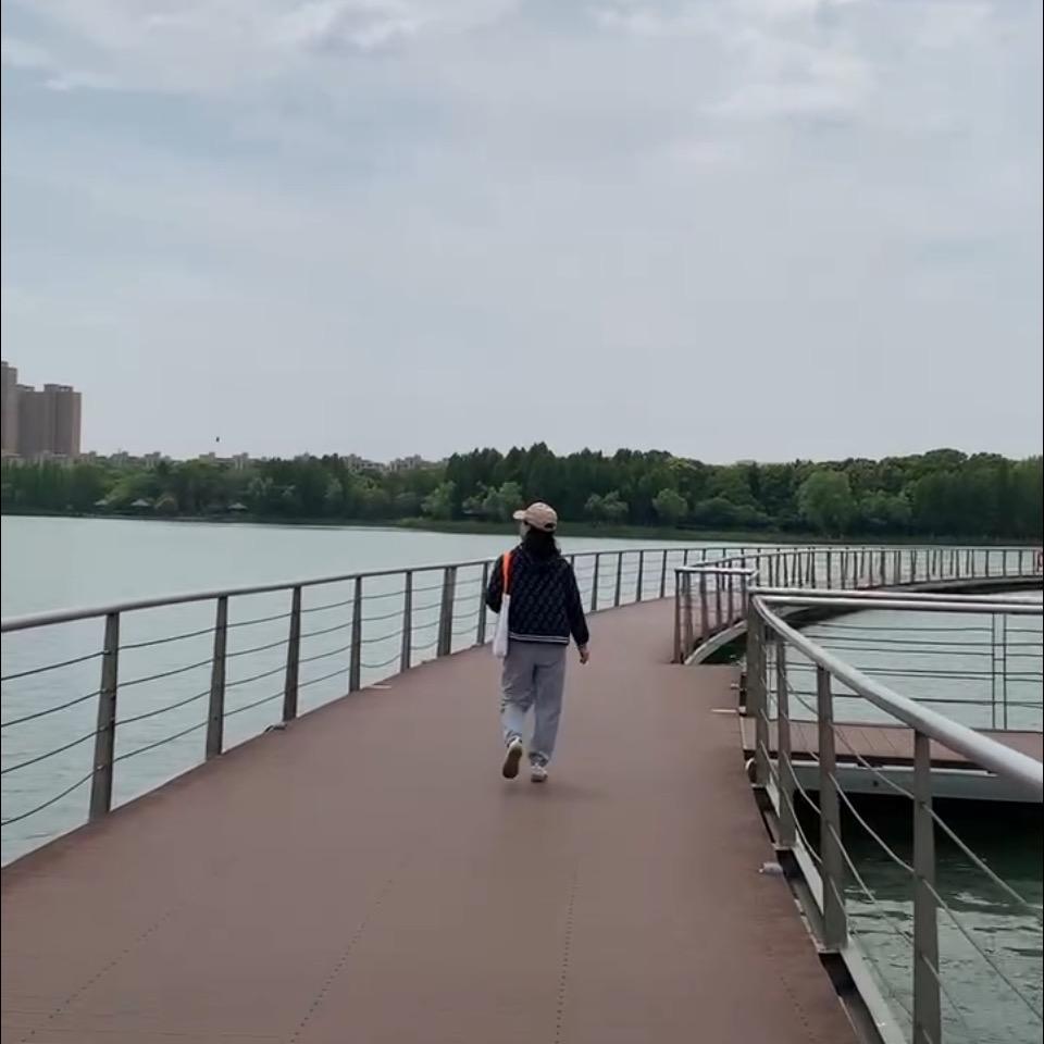 荷花@