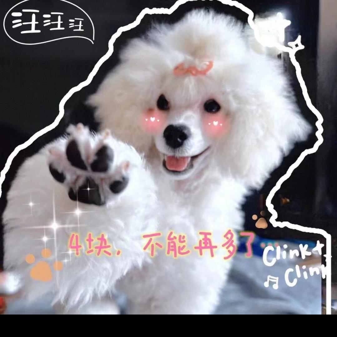 潞潞的狗狗-宠佰伴