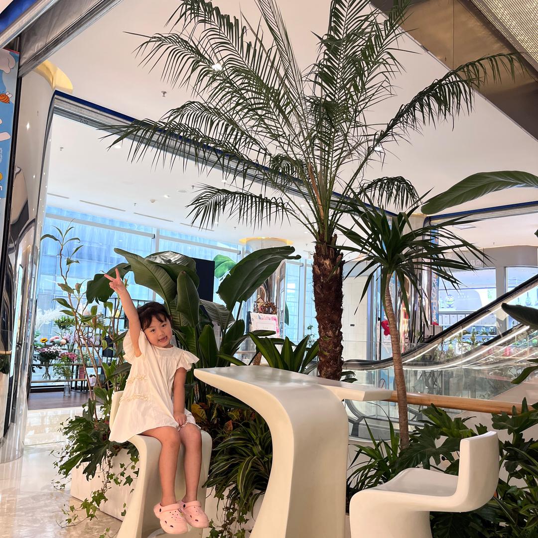 小小杨🐑🐑🐑