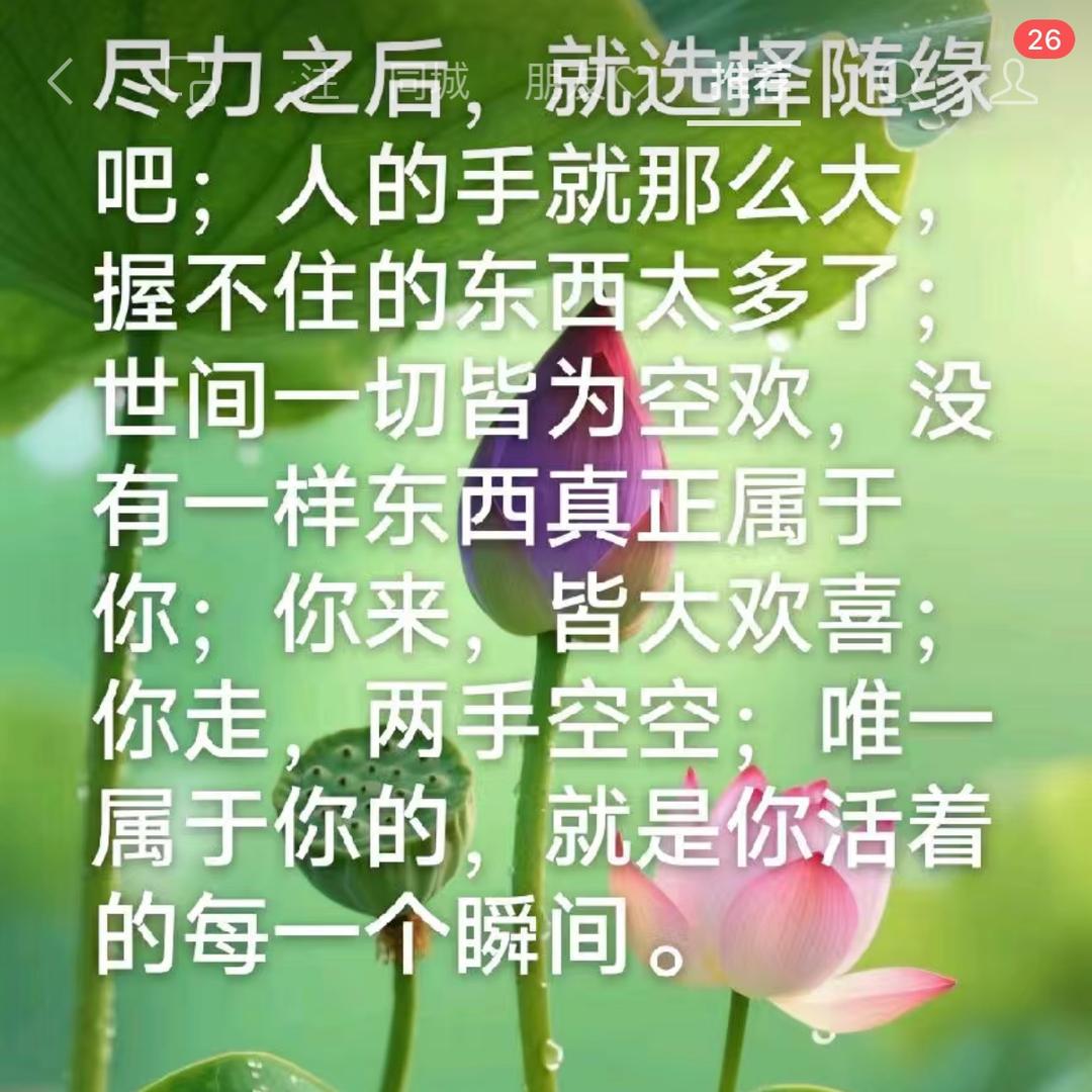 🌟万光大道🌟