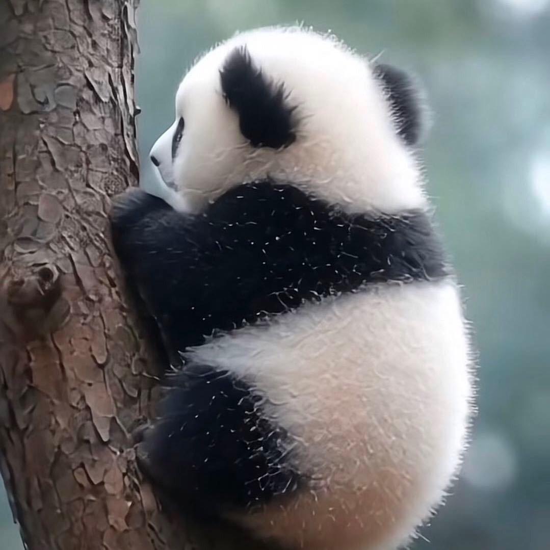 时光一去不复返