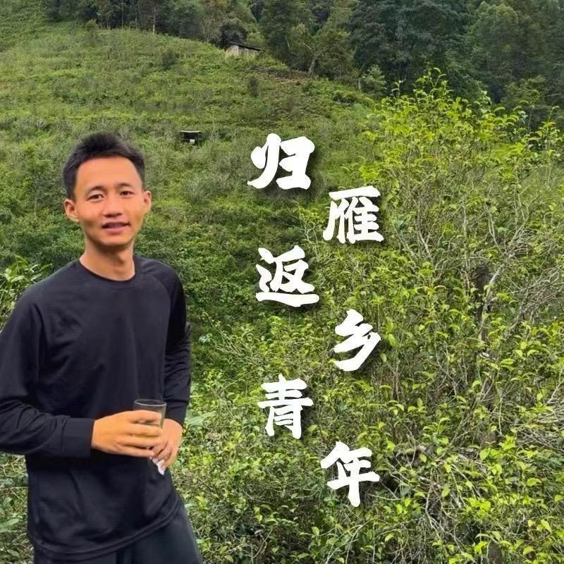 临沧易成号茶叶