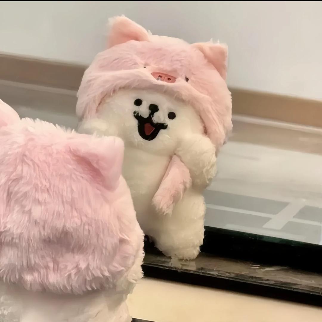 xʏ̆̈~🐾