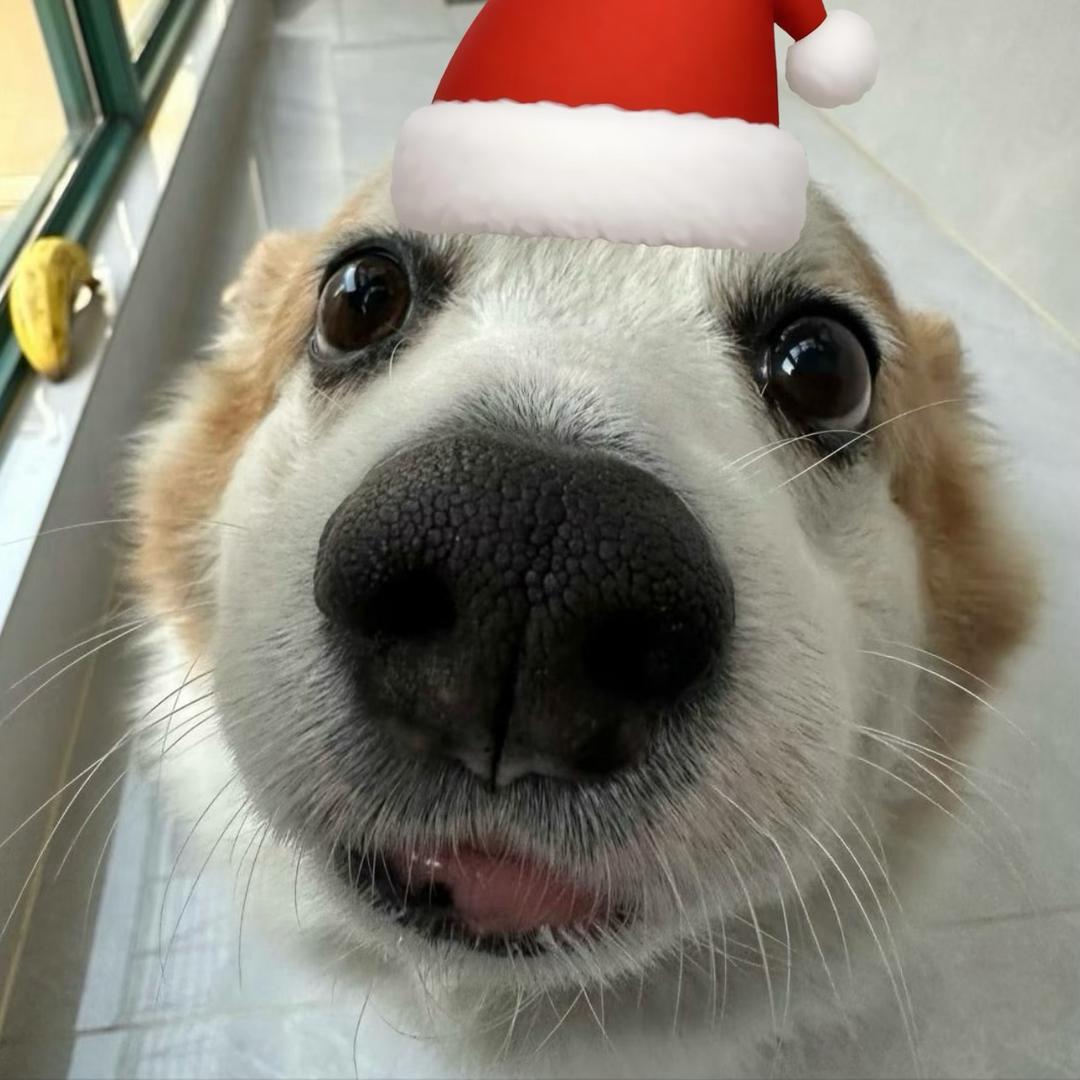 瞎子传奇之疯狂寻找眼珠子👁️