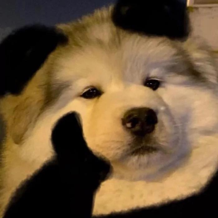 🔵🔵🔵🔵🔵🔵🔵🔵🔵