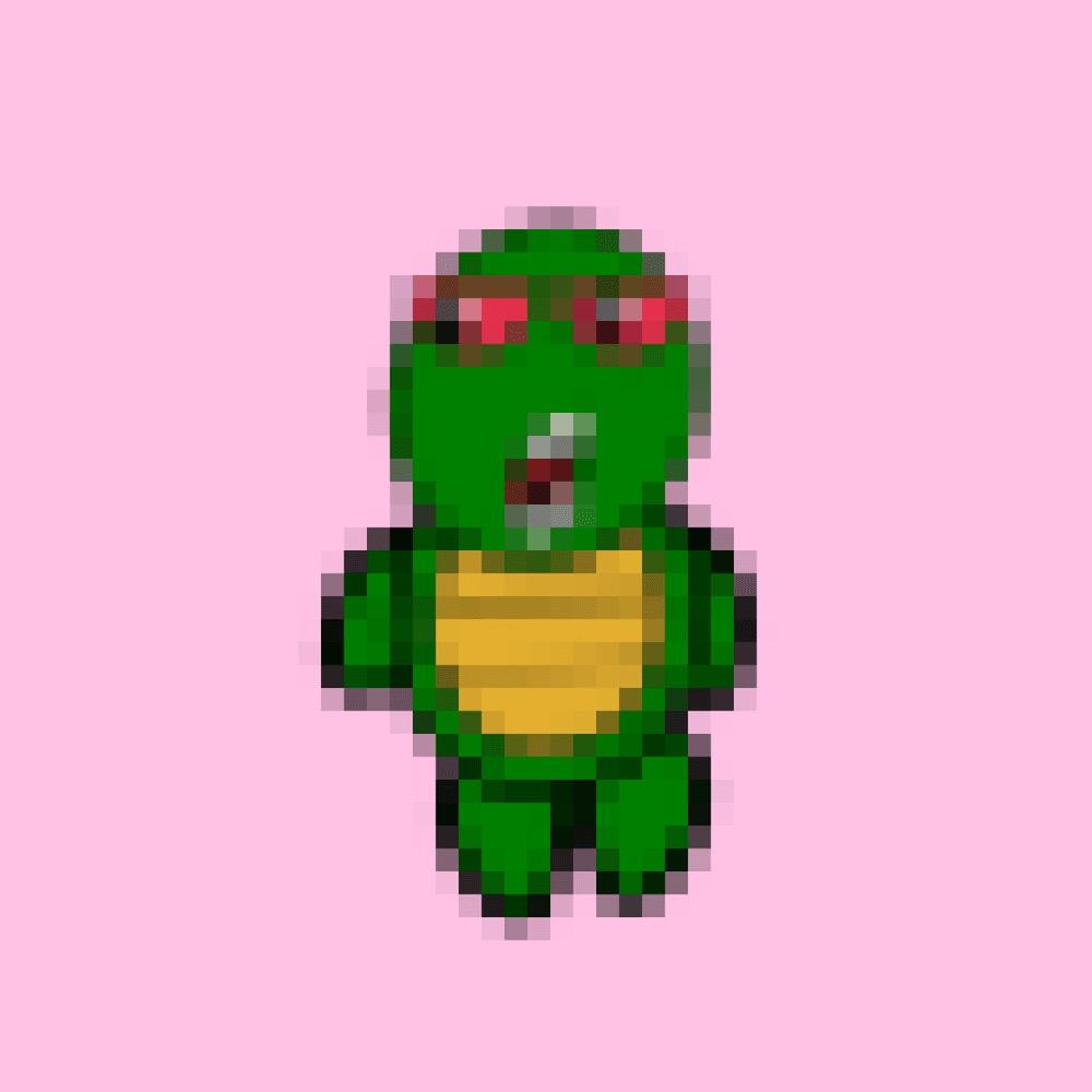 🐢 🐢  🐢