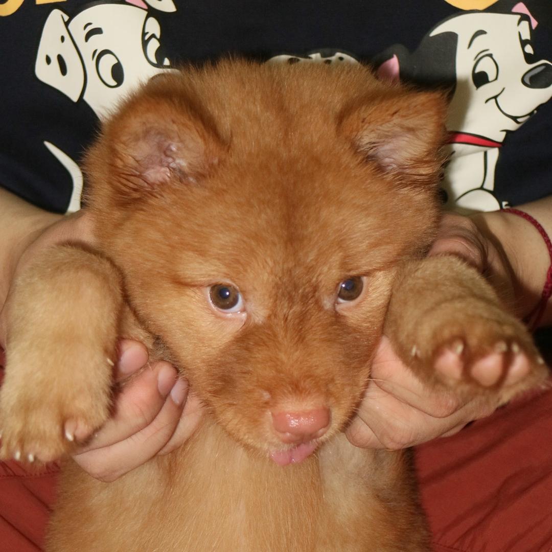 太阳好大 我好怕