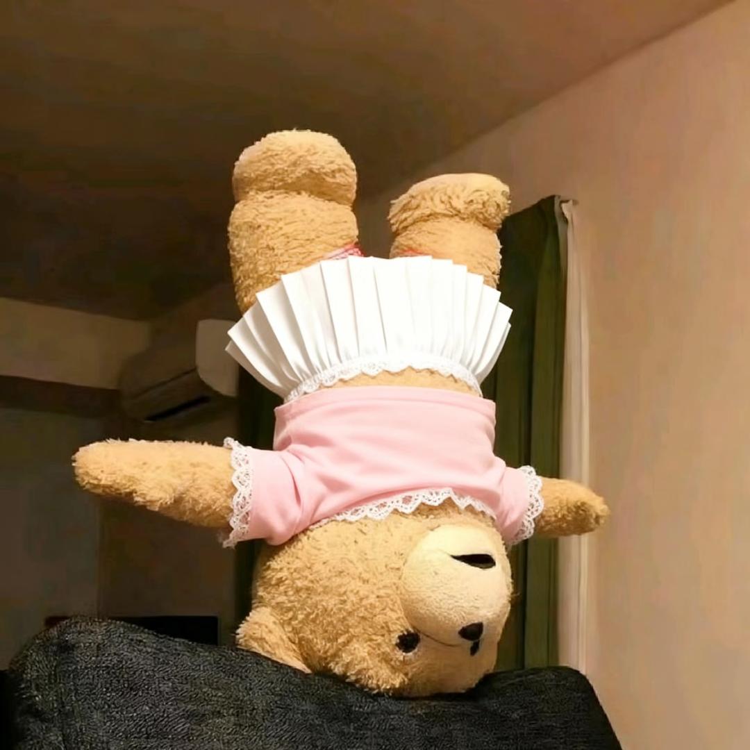 我回农村喂鸡