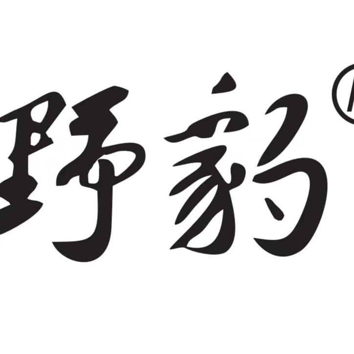 野豹周跃龙台球器材店