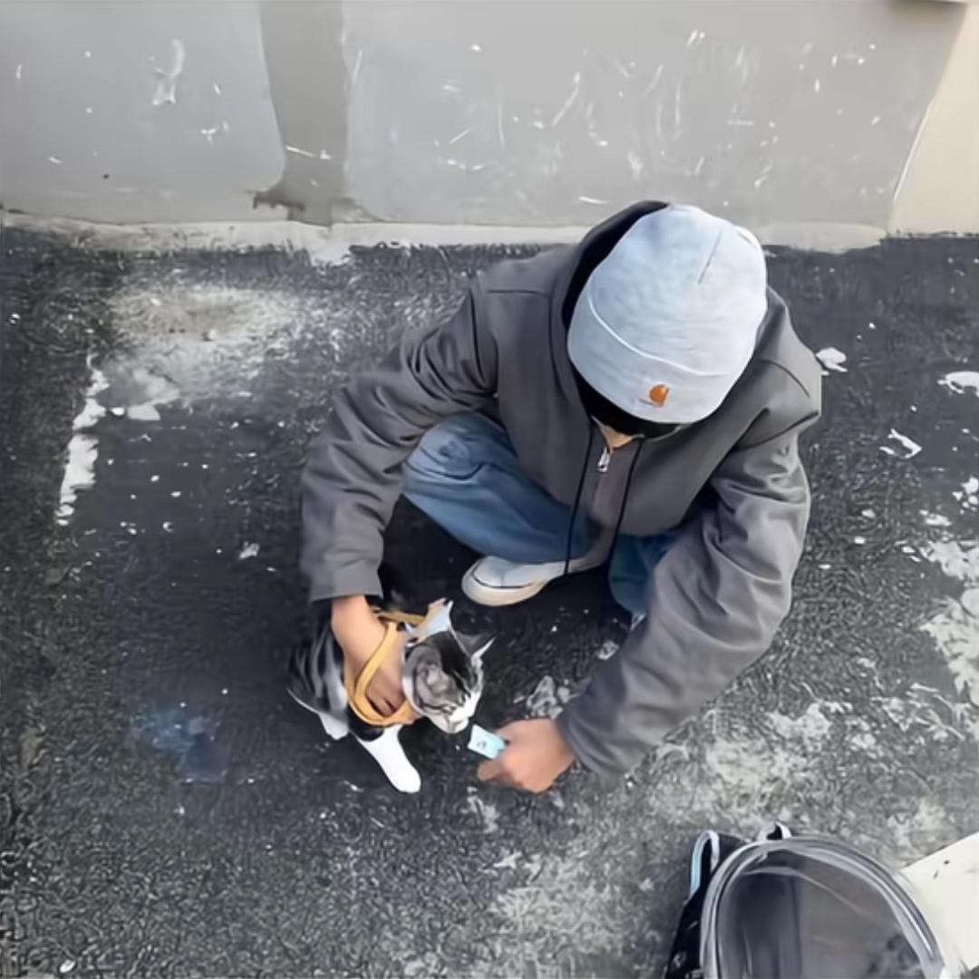 今晚把你们豆沙了