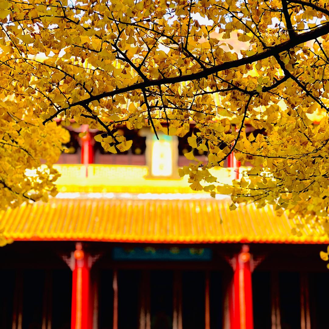 小福鑫