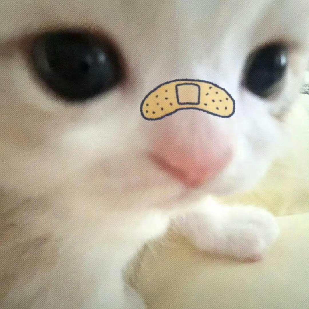 冷羔羊