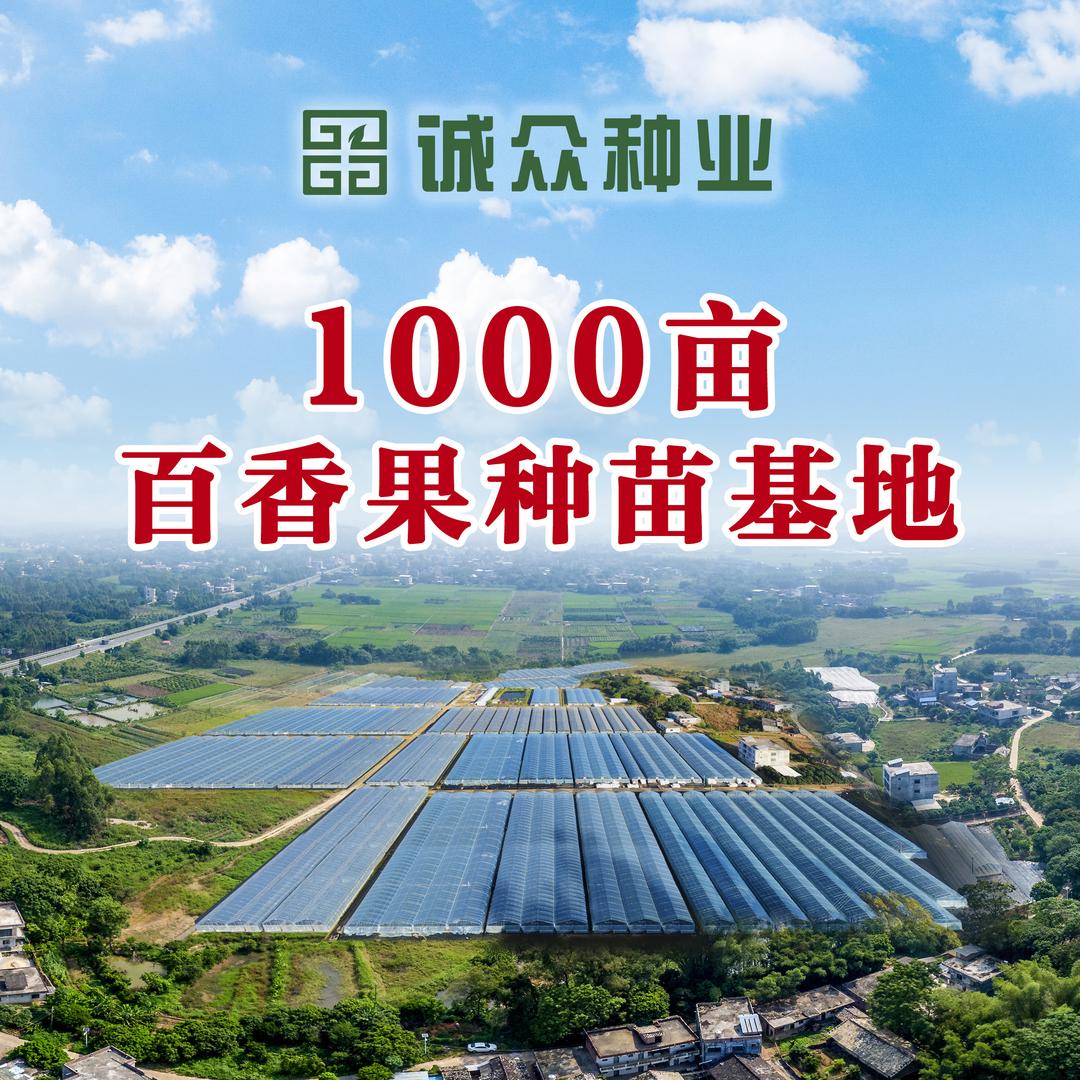 诚众百香果种苗官方账号
