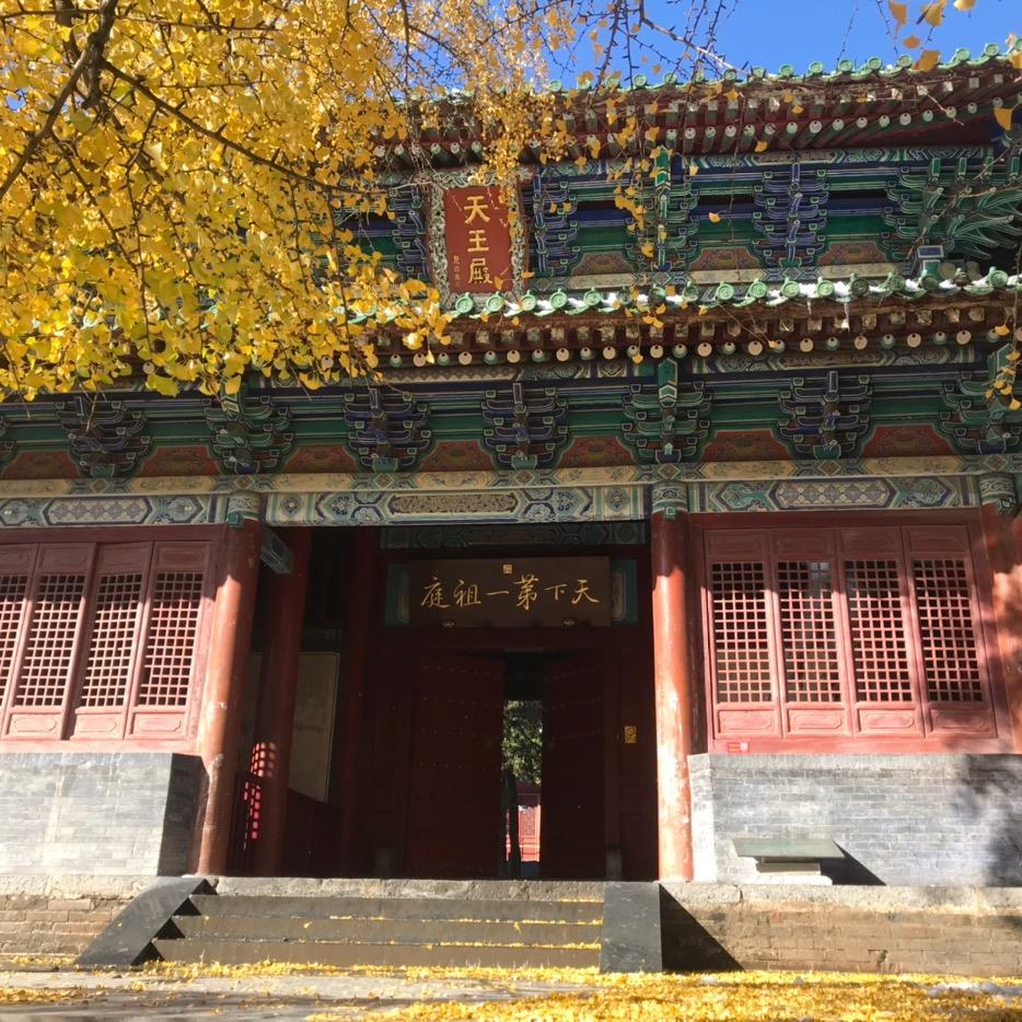 哇塞康师父