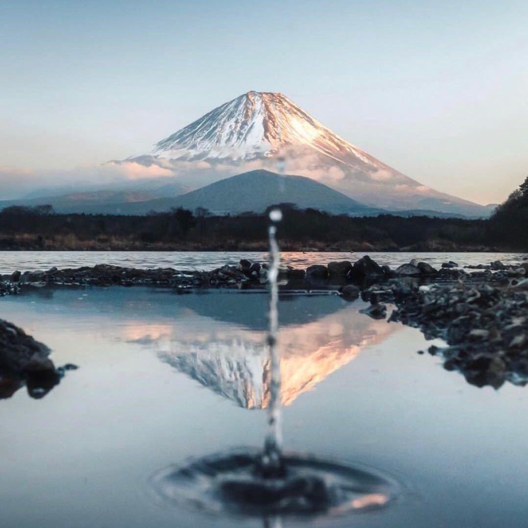 費