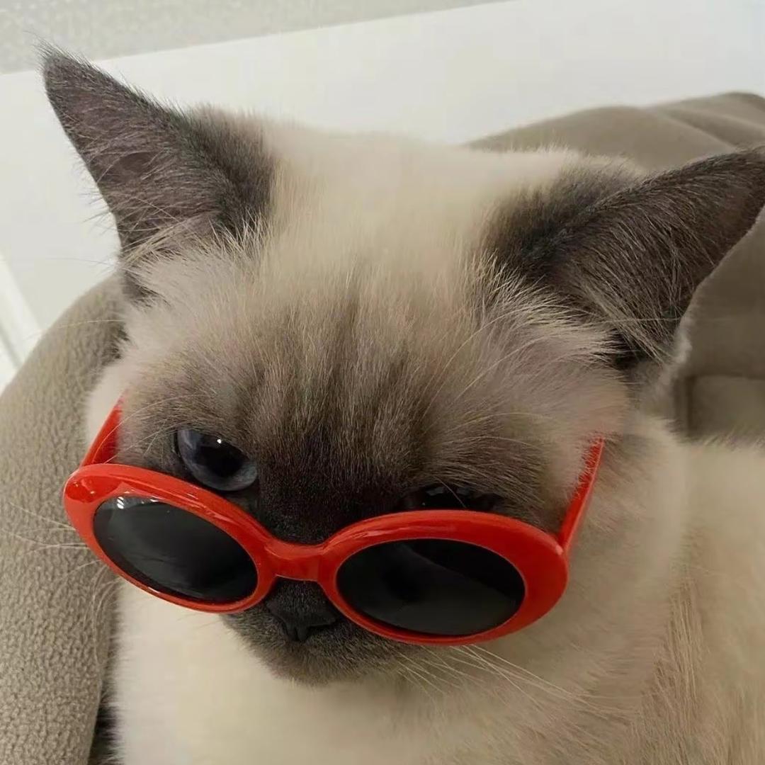 重生之我是404大帝