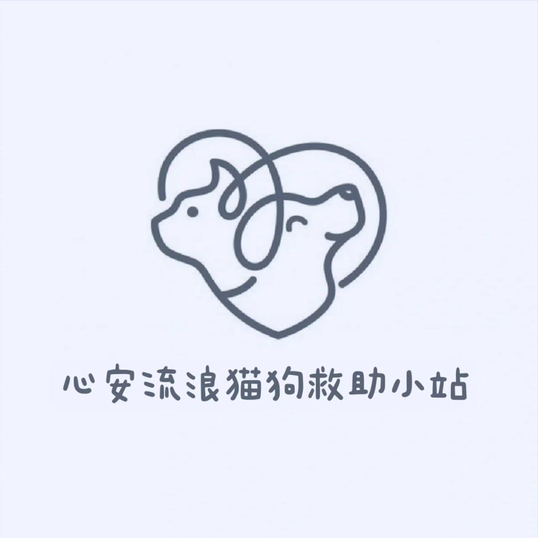 山东心安救助