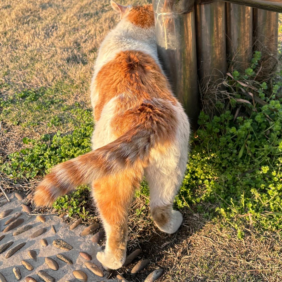 破破烂烂地去看海