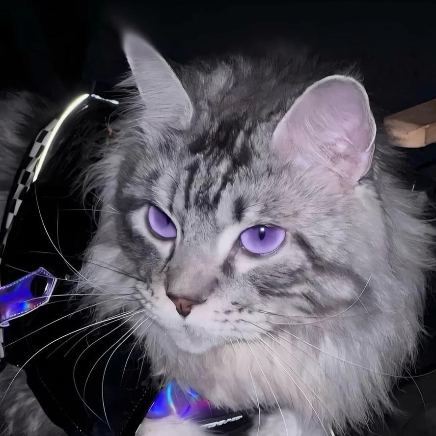 󠀀󠀀󠀀凉拌折耳根