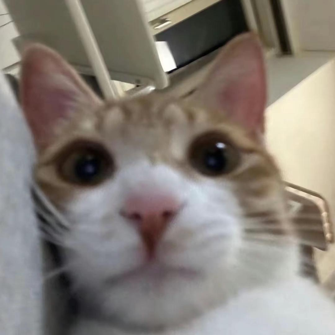 桐谷谅