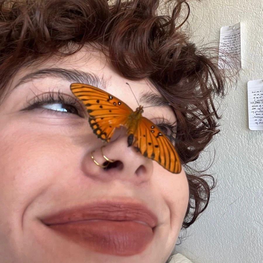 🐯