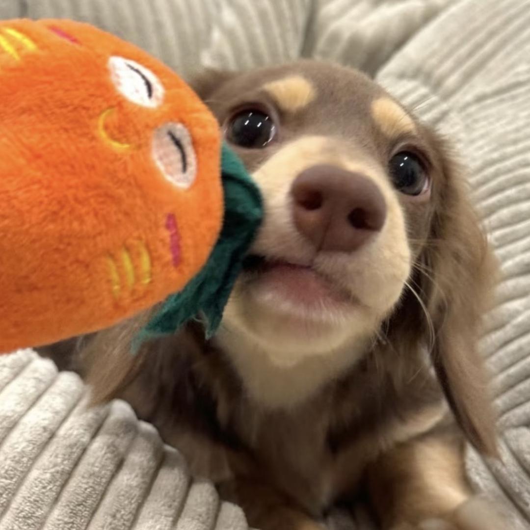 包小旺的杂货铺