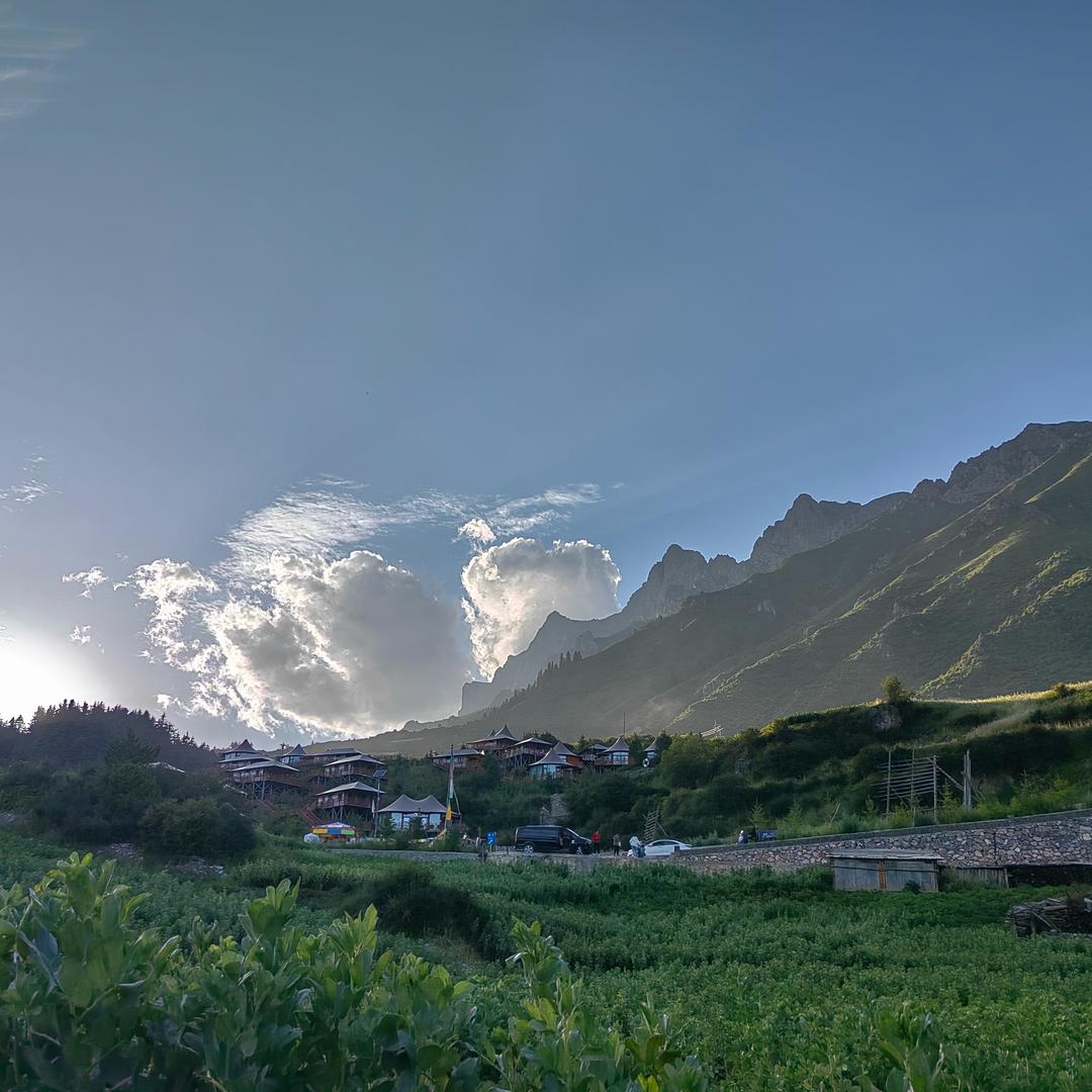 来给秀儿倒杯茶