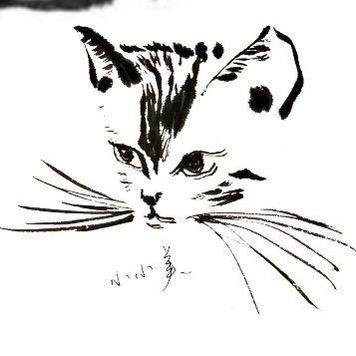 不做晚睡小狗.🌕