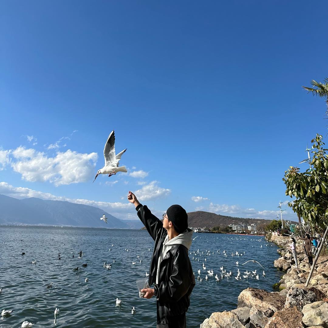 重生之我在奉化当骑手