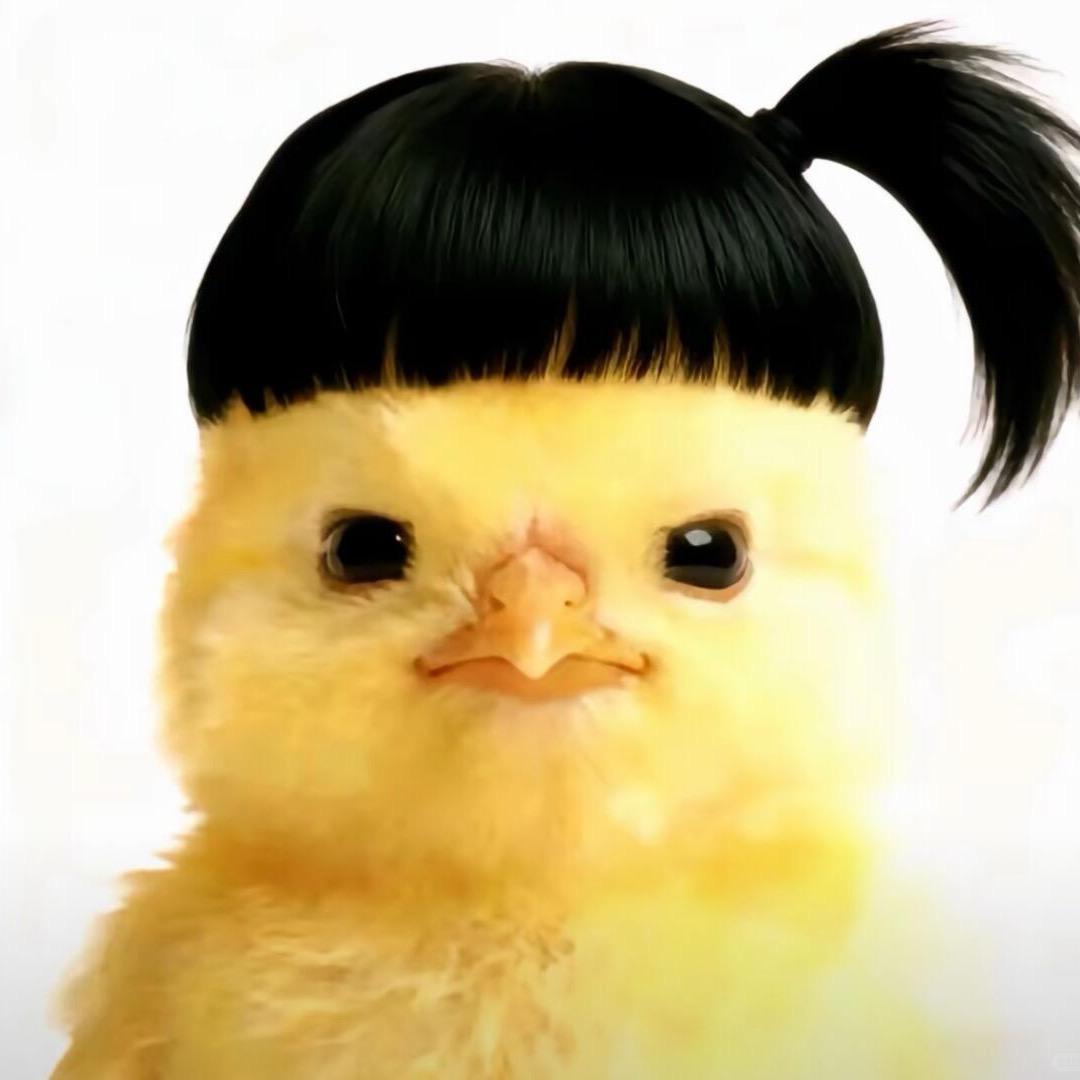 鸡信