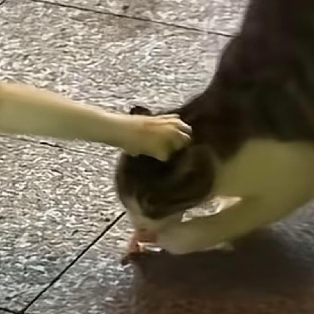 凌晨.