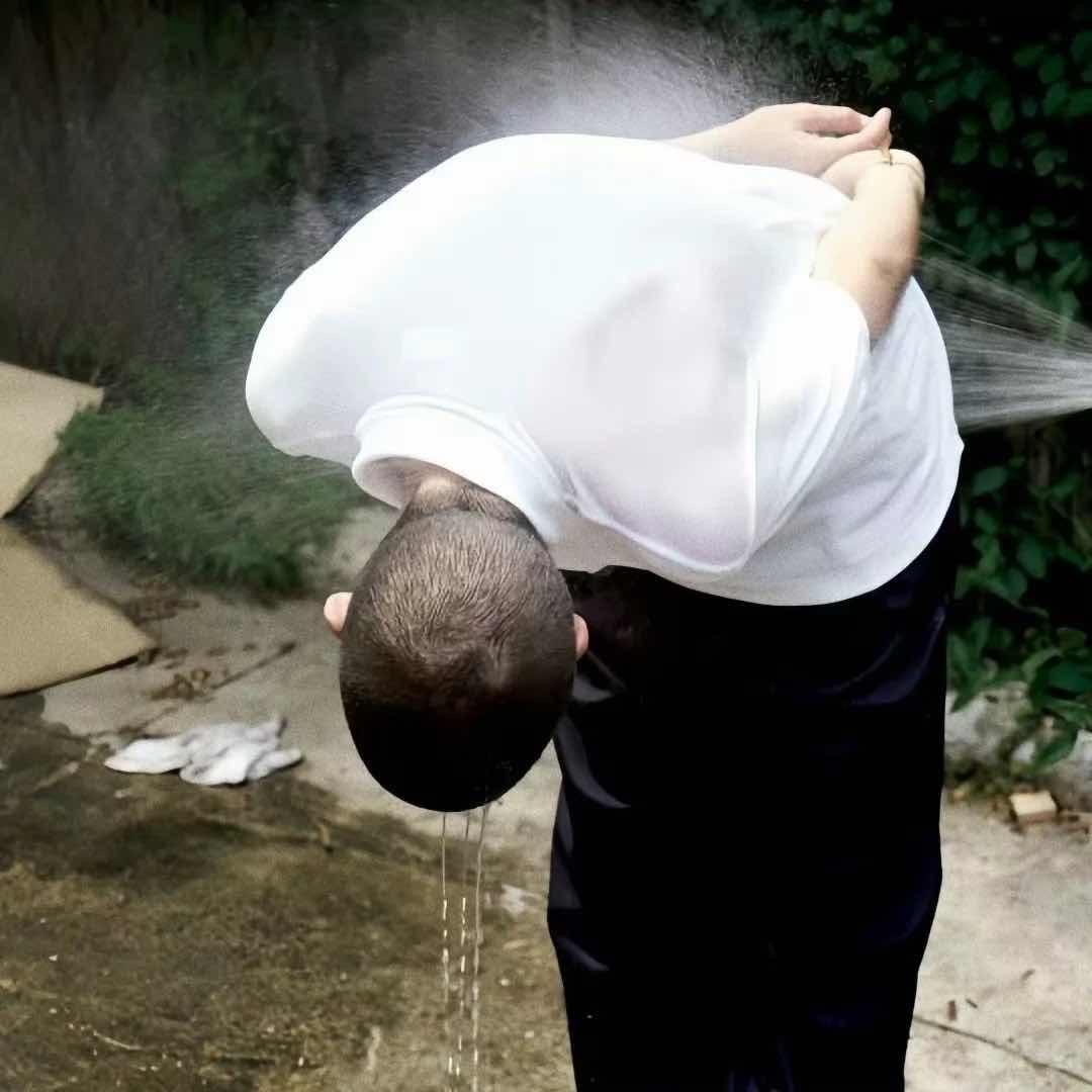 鹊起.