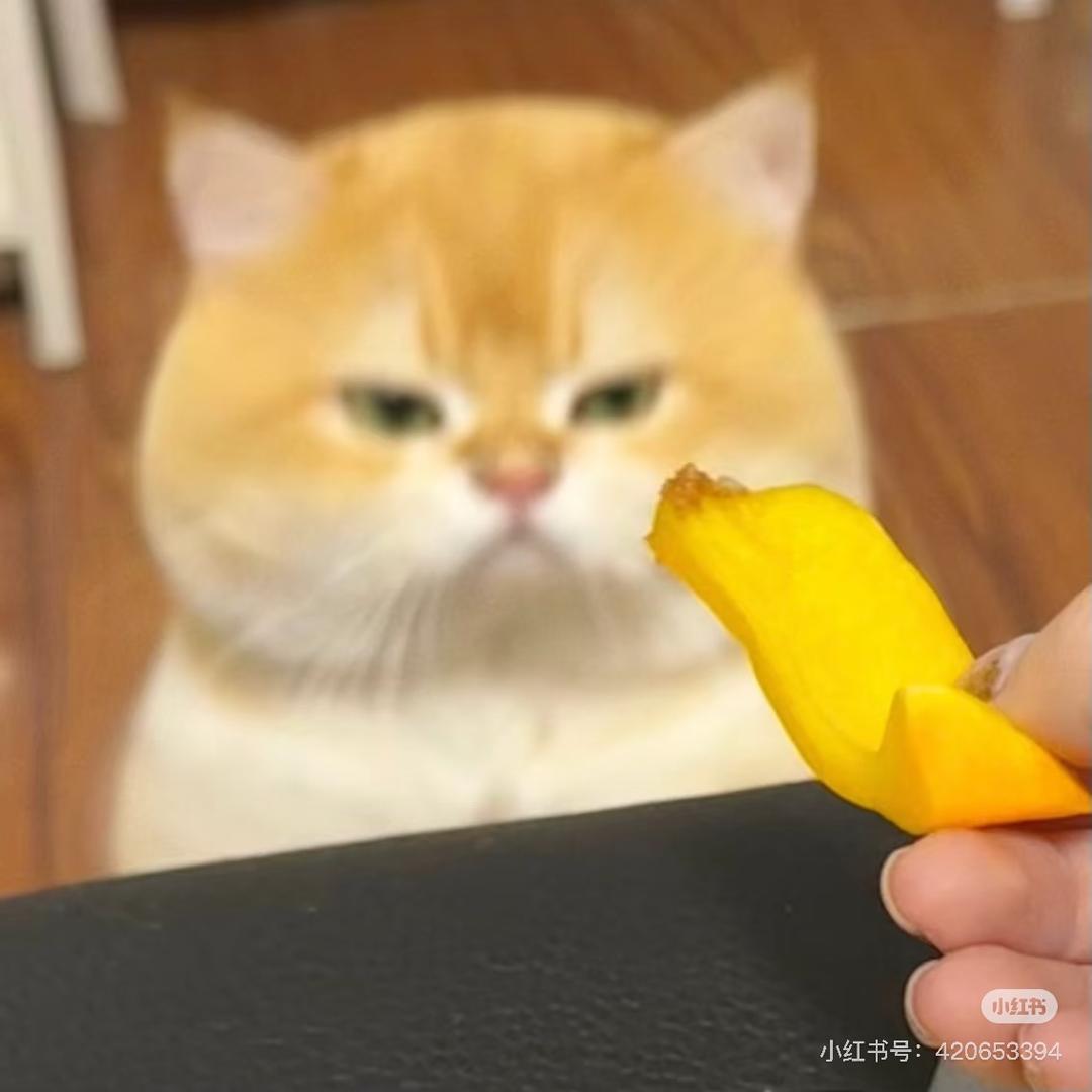 恶霸暴龙兽