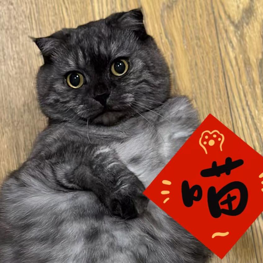 虾饺凤爪流沙包