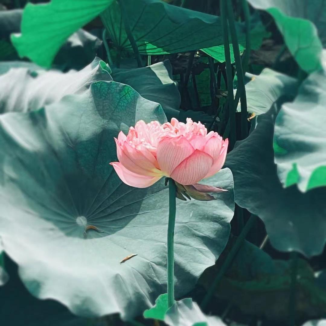 静姐