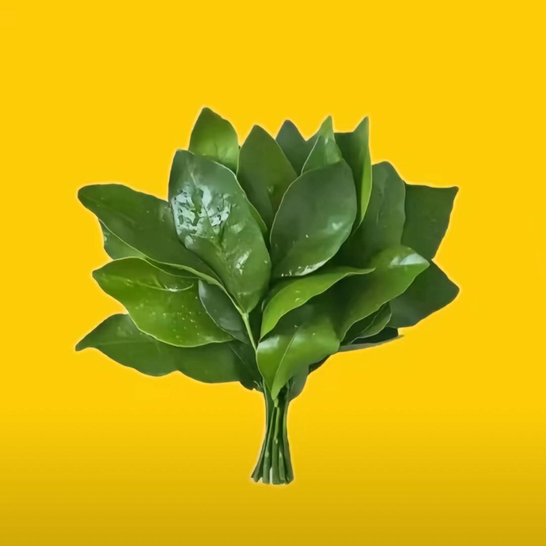 翘屁小继父
