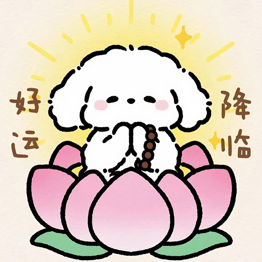 心想柿🍊