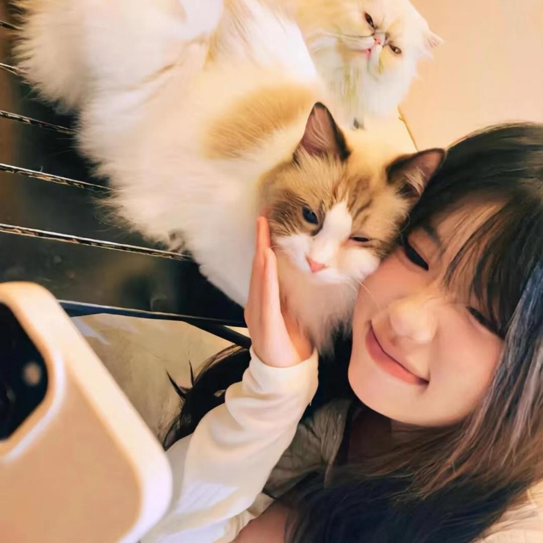 -娇