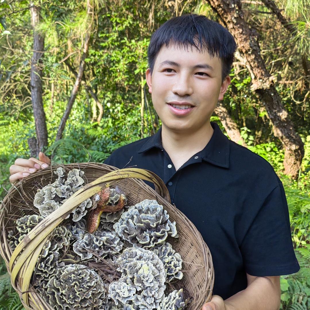 云南源牧野生菌山珍