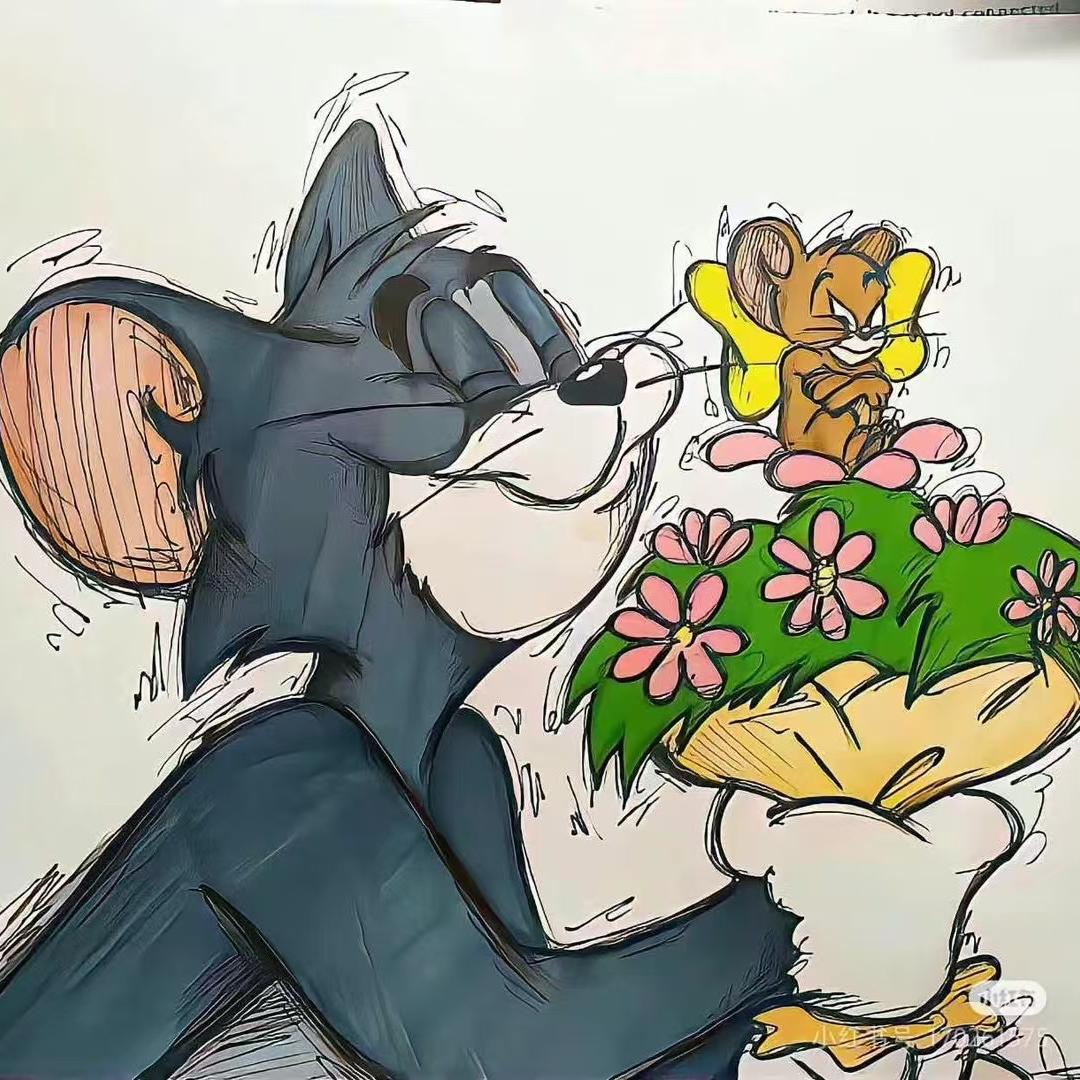 冬日美壳