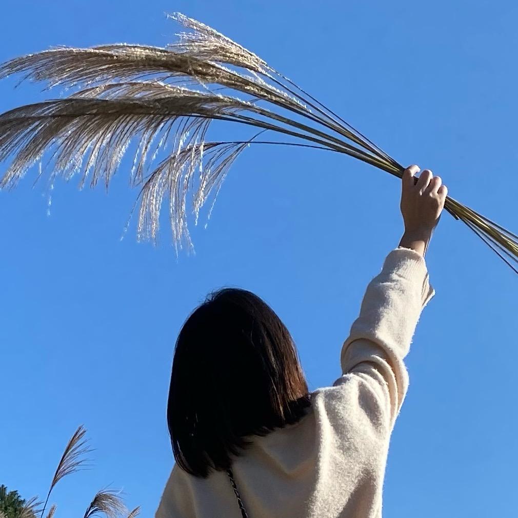 周周🔥
