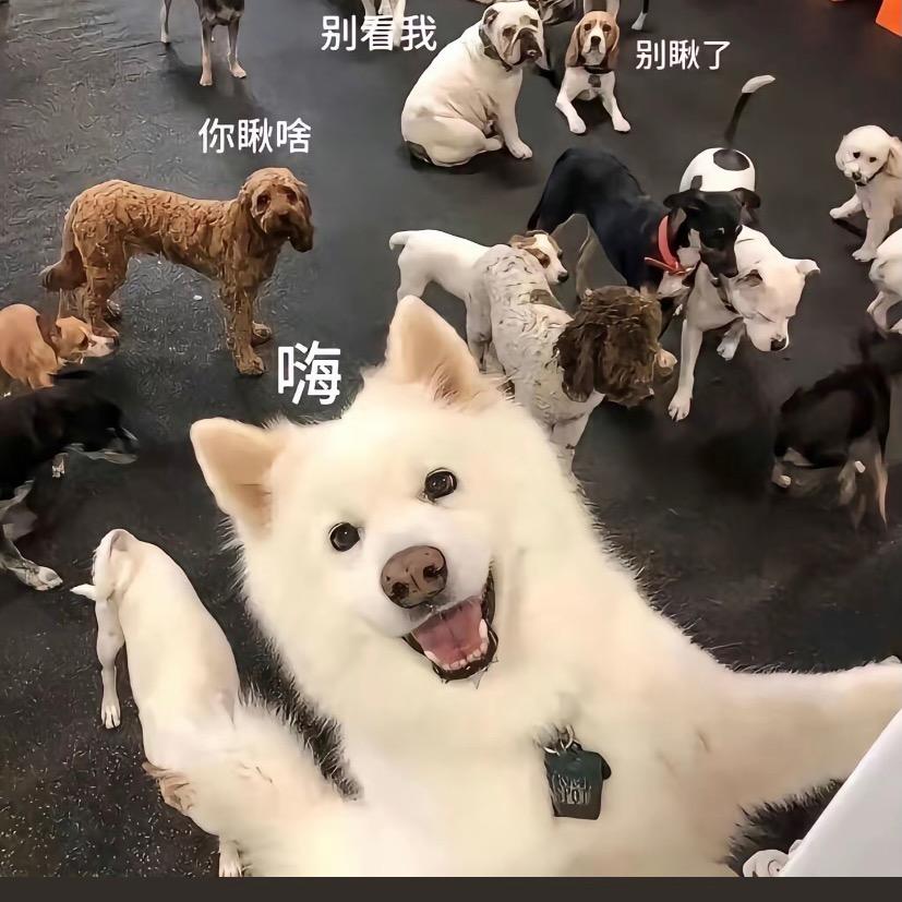 乌木威尔维恩恩耶尔吐温威乌温穆本欧萨斯