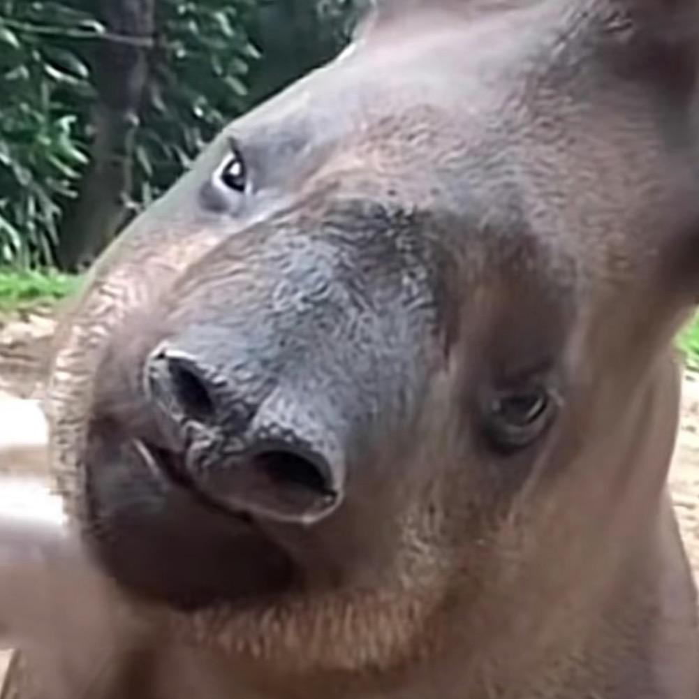 齐民万事解决地