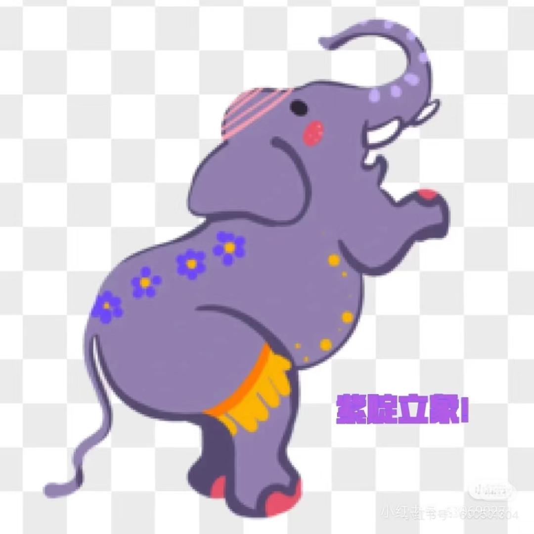 十个柚子多少钱