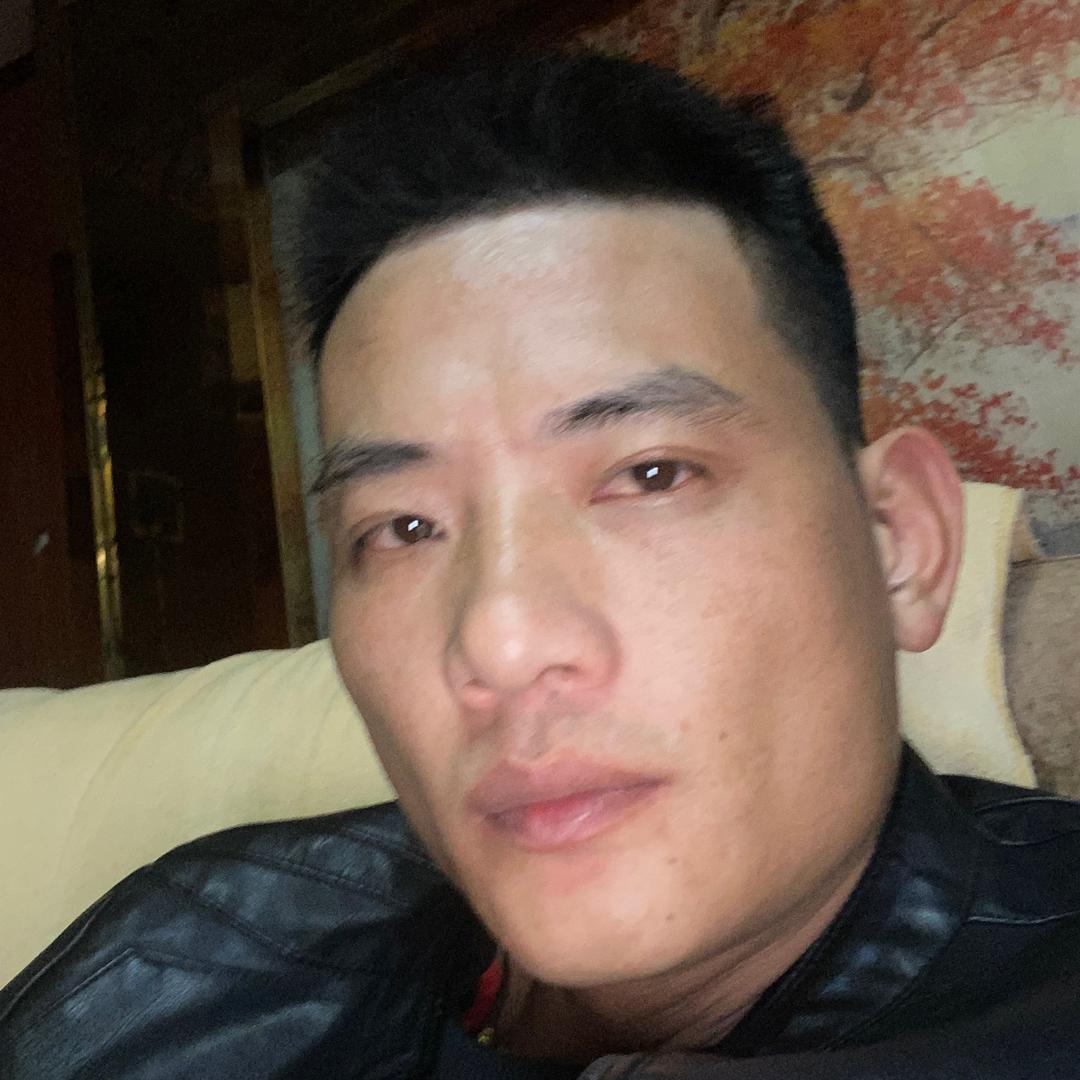 我是一棵树头像