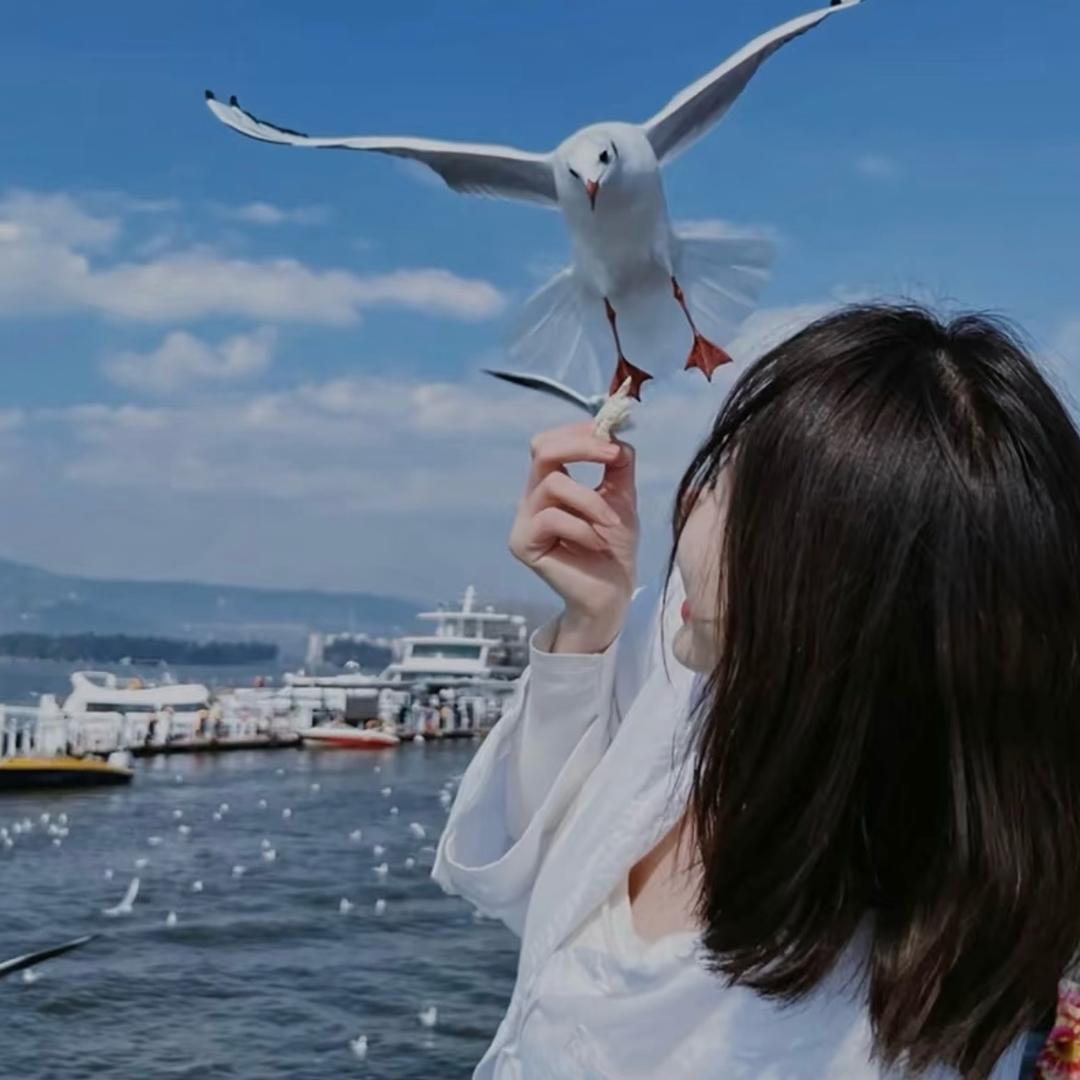 yuyu