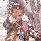沿风而行